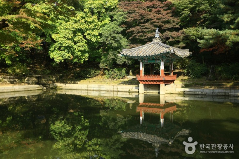 昌德宮與後苑 [UNESCO世界文化遺產] (12/25)