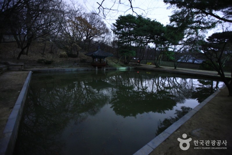 昌德宮與後苑 [UNESCO世界文化遺產] (18/25)