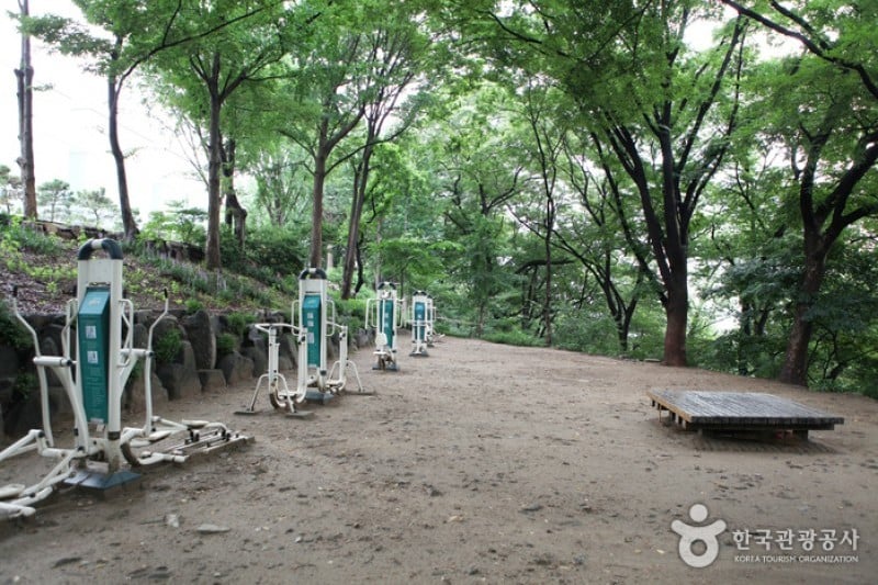 南山公園(首爾) (2/29)
