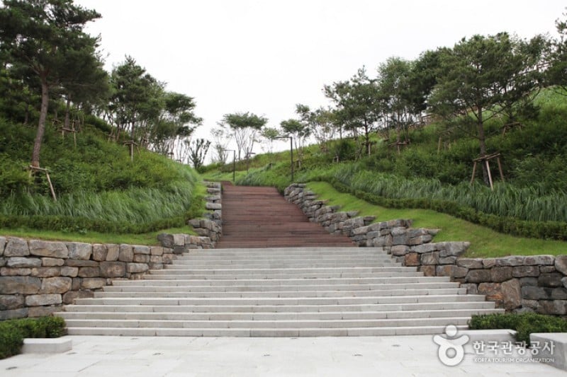 南山公園(首爾) (3/29)