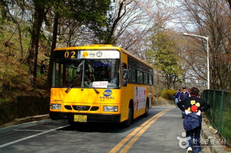 南山公園(首爾) (8/29)