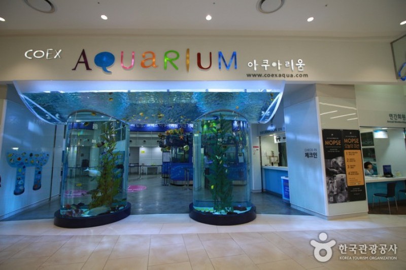 COEX水族館 (1/8)