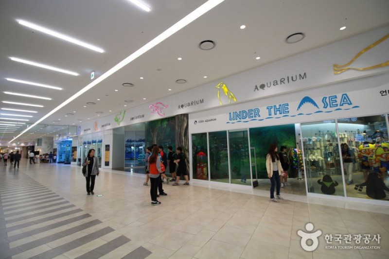 COEX水族館 (3/8)