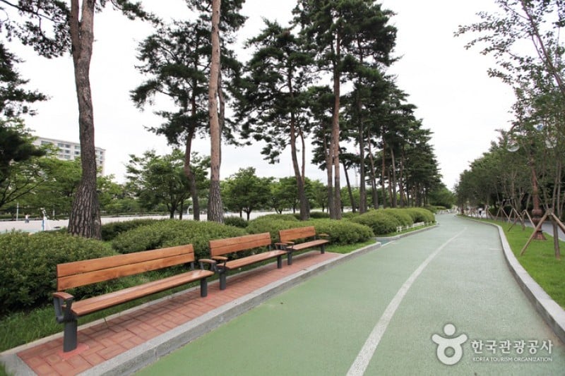 汝矣島公園 (2/30)