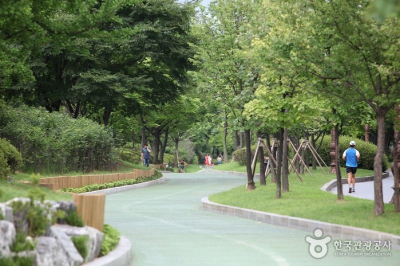 汝矣島公園 (5/30)