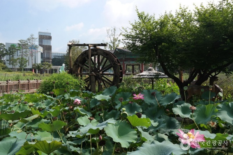 首爾兒童大公園 (2/13)