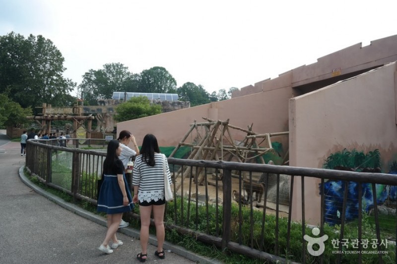 首爾兒童大公園 (11/13)