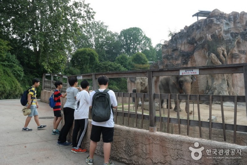 首爾兒童大公園 (13/13)