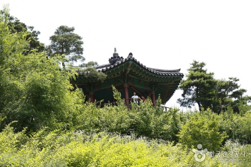 駱山公園 (16/17)