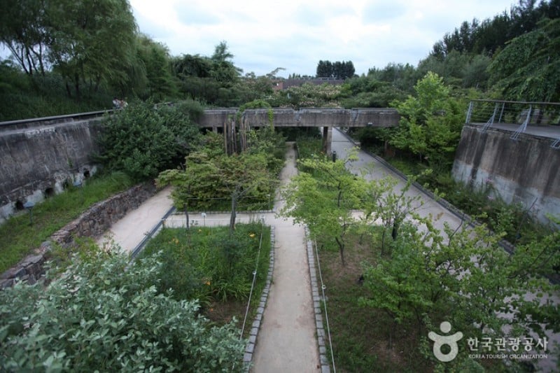 仙遊島公園 (6/28)