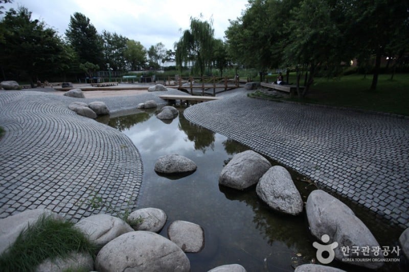 仙遊島公園 (7/28)