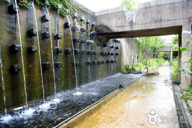 仙遊島公園 (8/28)