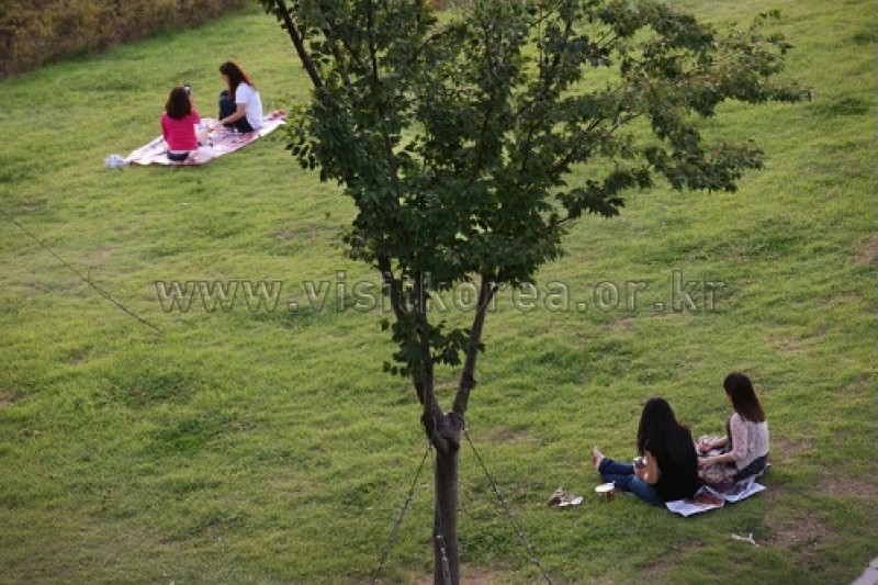 漢江市民公園纛島地區(纛島漢江公園) (12/30)