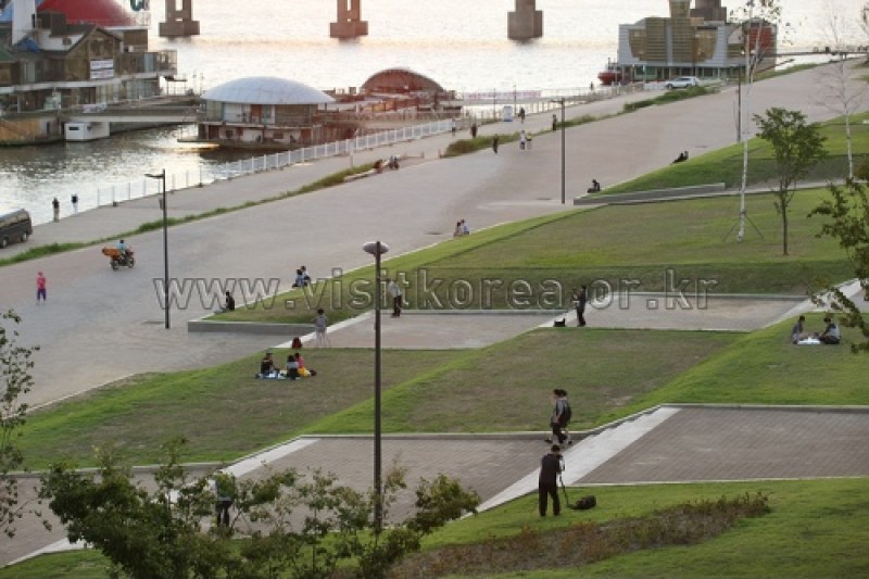 漢江市民公園纛島地區(纛島漢江公園) (13/30)
