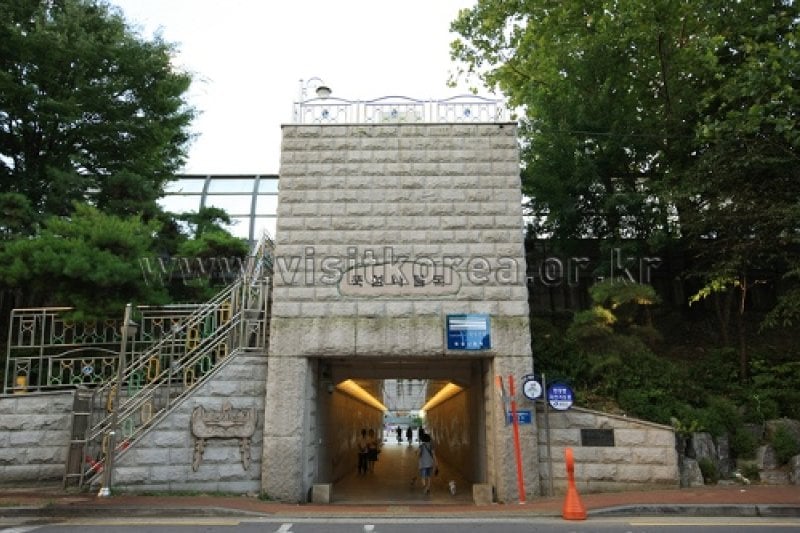 漢江市民公園纛島地區(纛島漢江公園) (21/30)