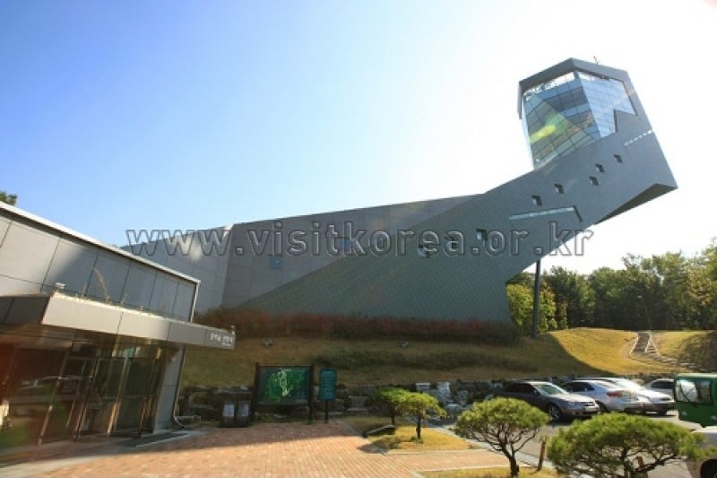 Dream Forest  (25/56)