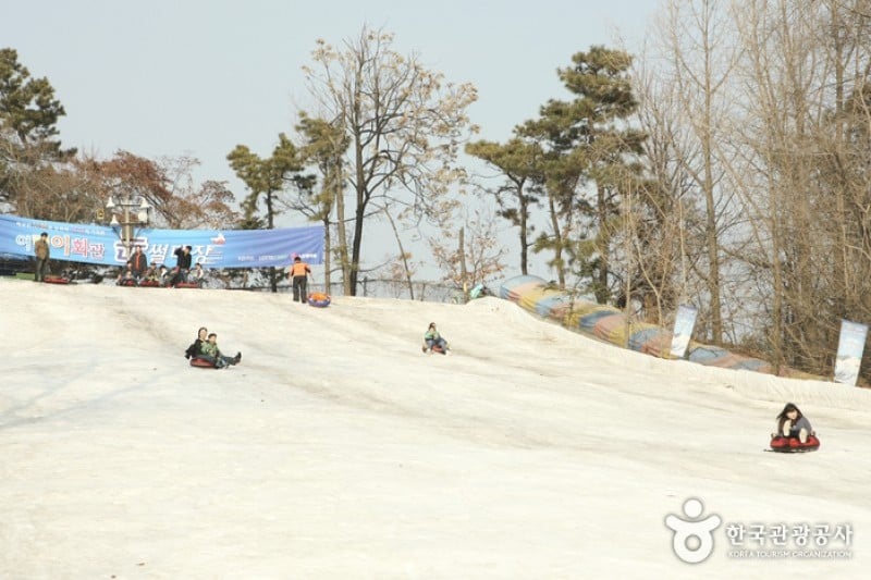 兒童會館雪橇場 (7/7)