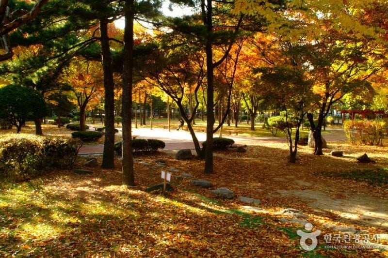 島山公園 (9/12)