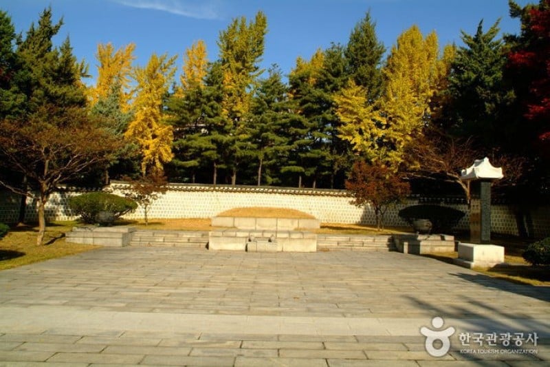 島山公園 (10/12)