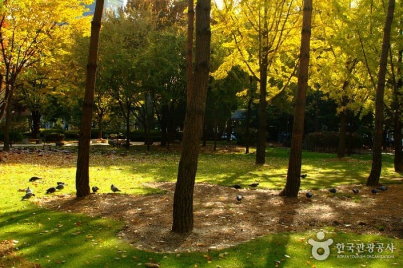 島山公園 (11/12)