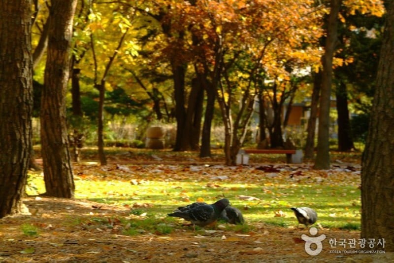 島山公園 (12/12)