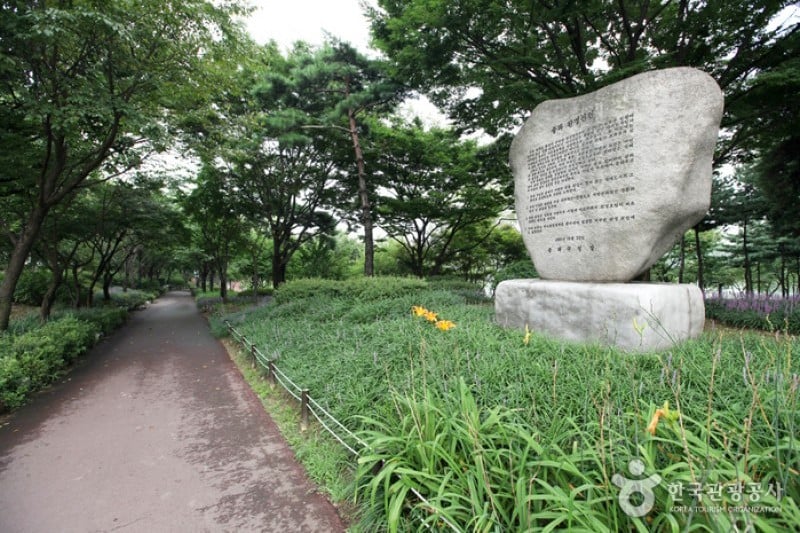 松坡渡口公園 (5/18)