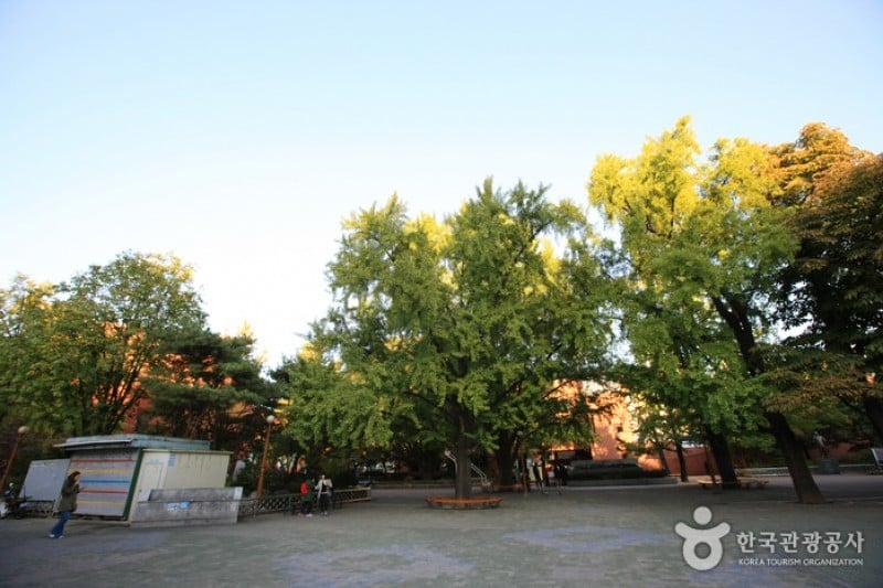 馬羅尼矣公園 (8/18)
