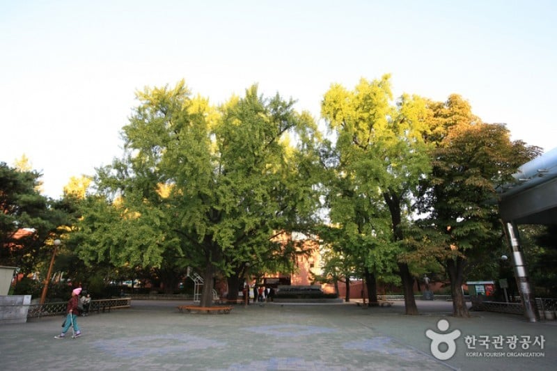 馬羅尼矣公園 (9/18)