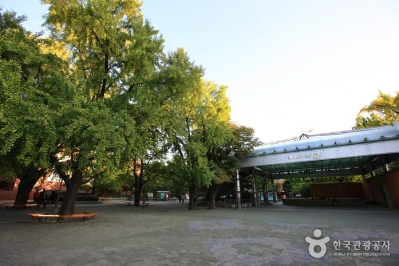 馬羅尼矣公園 (10/18)