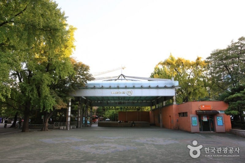 馬羅尼矣公園 (11/18)