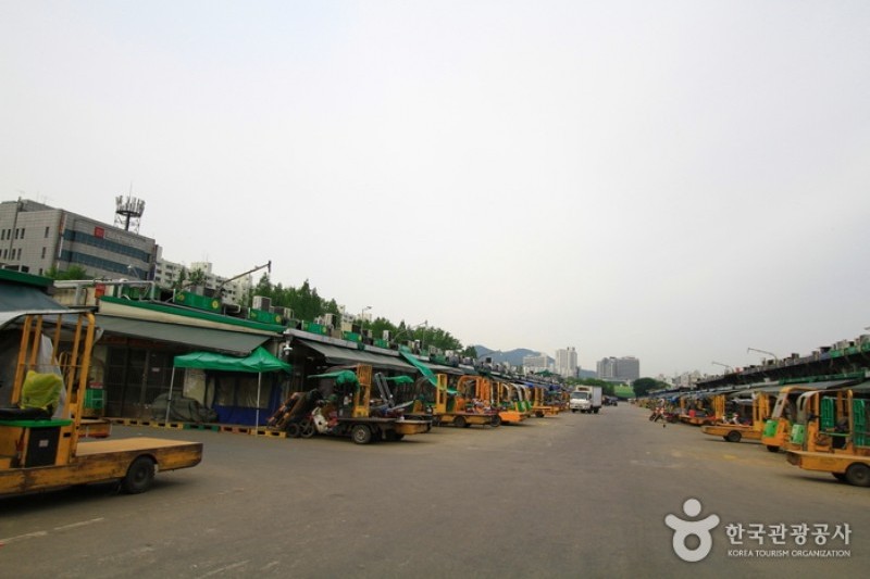 可樂市場(可樂農水產批發市場) (1/19)