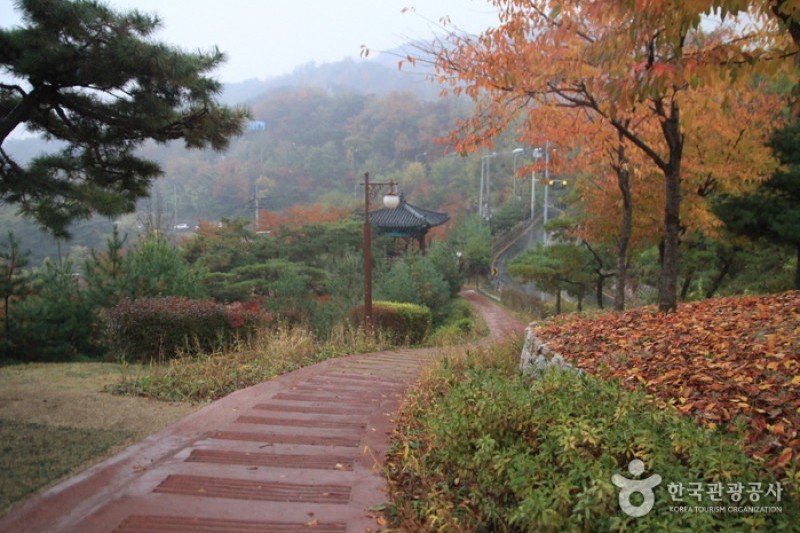 仁王山 (1/2)