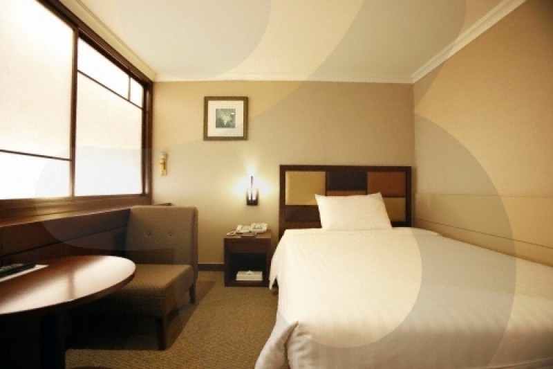 新首爾飯店(Best Western New Seoul Hotel) (2/24)
