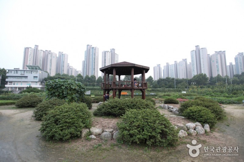 漢江市民公園蠶室地區 (1/4)