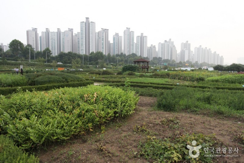 漢江市民公園蠶室地區 (3/4)