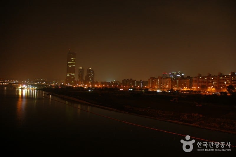 麻浦大橋夜景 (5/6)