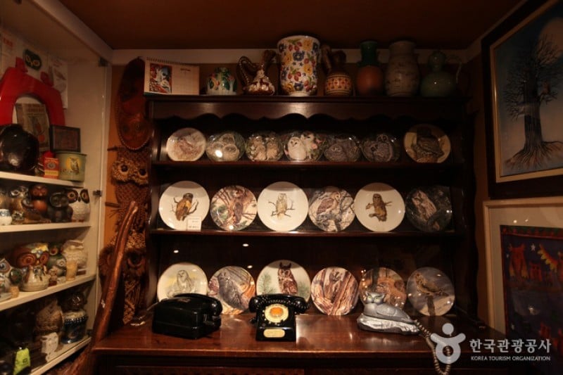 貓頭鷹博物館 (1/4)
