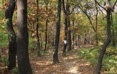 道峰山(도봉산)