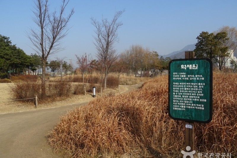 首爾菖蒲園