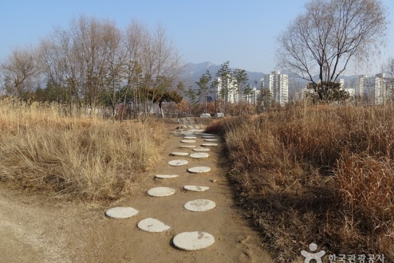 首爾菖蒲園