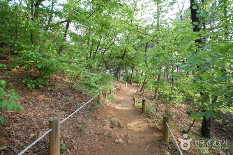 峨嵯山城 (2/6)