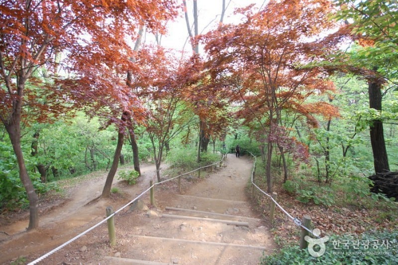 峨嵯山城 (4/6)