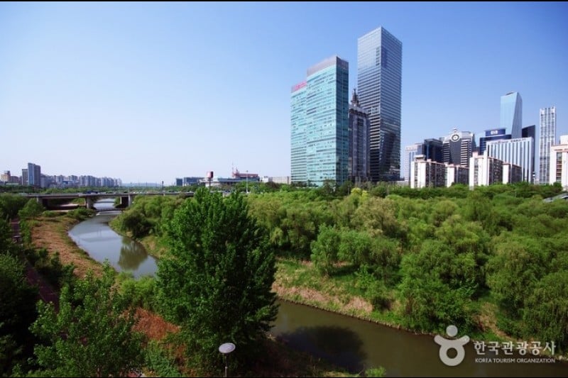 汝矣島河口生態公園(여의도샛강생태공원) (1/12)