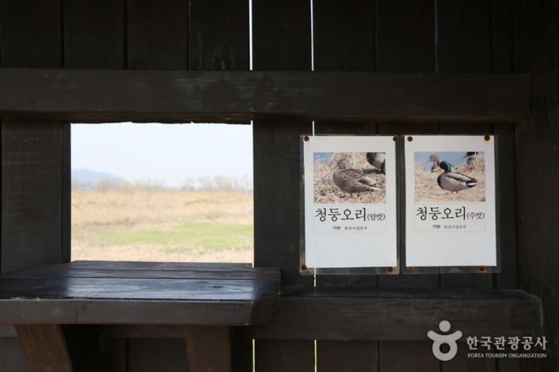 江西濕地生態公園