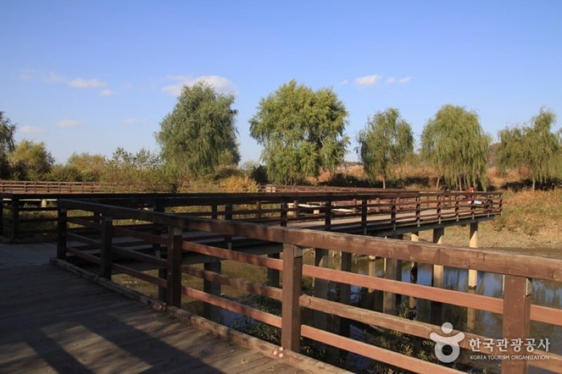 江西濕地生態公園