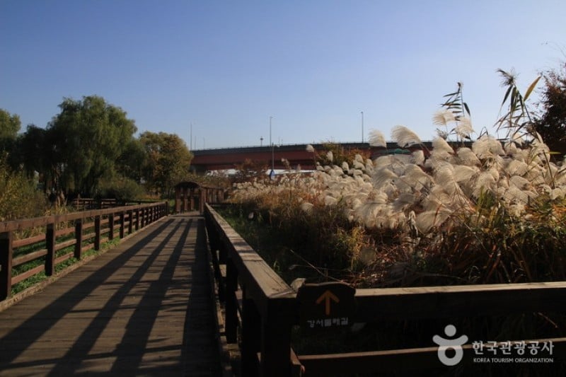 江西濕地生態公園