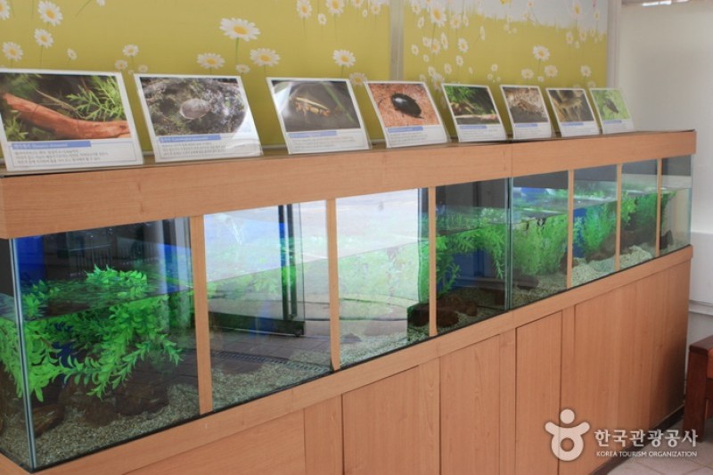 首爾特別市科學展示館