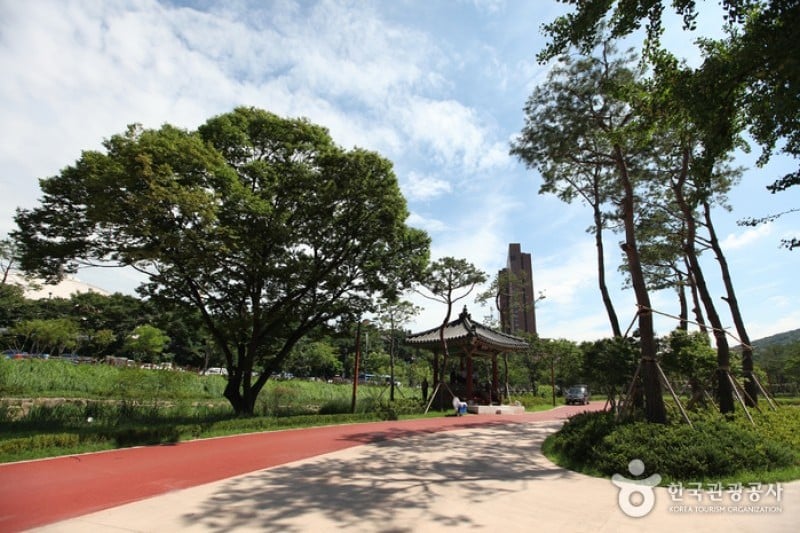 獎忠壇公園 (6/13)
