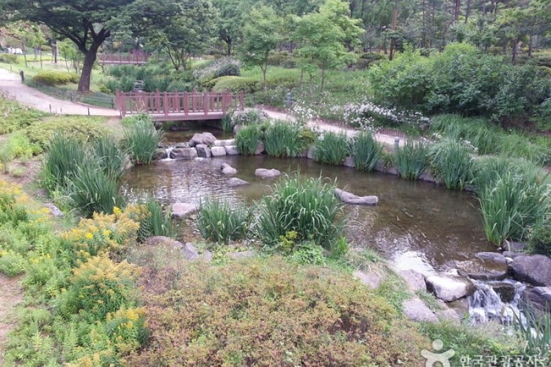 獎忠壇公園 (8/13)
