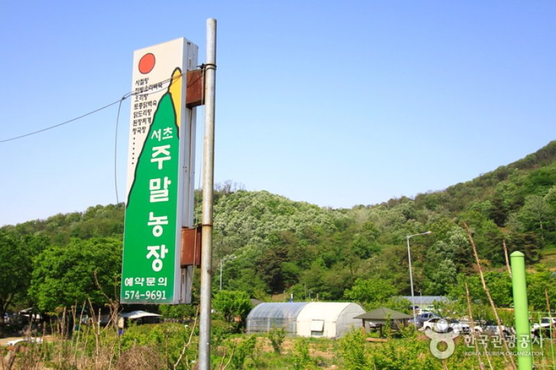 瑞草週末農場 (3/5)